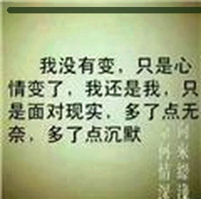 吴凯